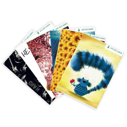 Pack of 12 Cards for Any Occasion in Assorted Designs UK Wholesale Greetings Cards